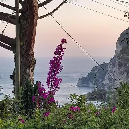 Villetta Rosetta 別荘