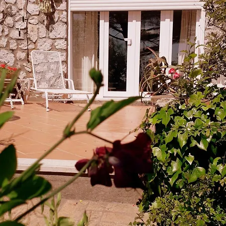 別荘 Villetta Rosetta カプリ