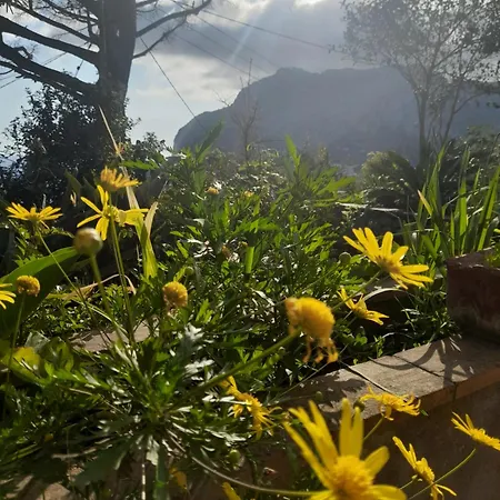 Villetta Rosetta 別荘 カプリ