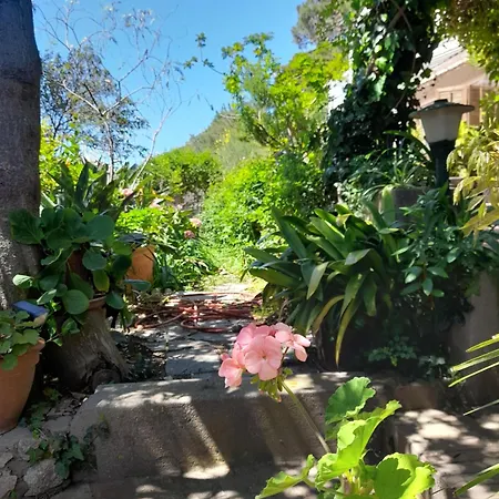 Villetta Rosetta * カプリ