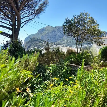 別荘 Villetta Rosetta カプリ