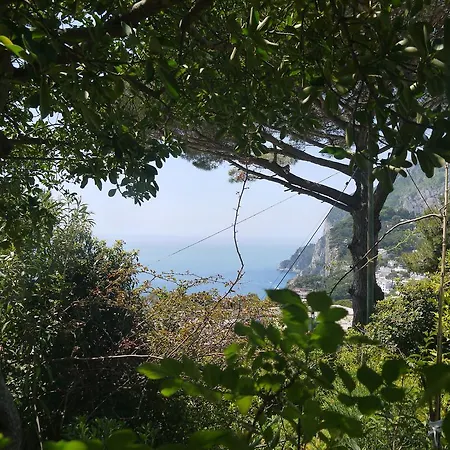 別荘 Villetta Rosetta カプリ